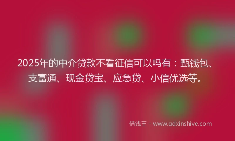 2025年的中介贷款不看征信可以吗有：甄钱包、支富通、现金贷宝、应急贷、小信优选等。