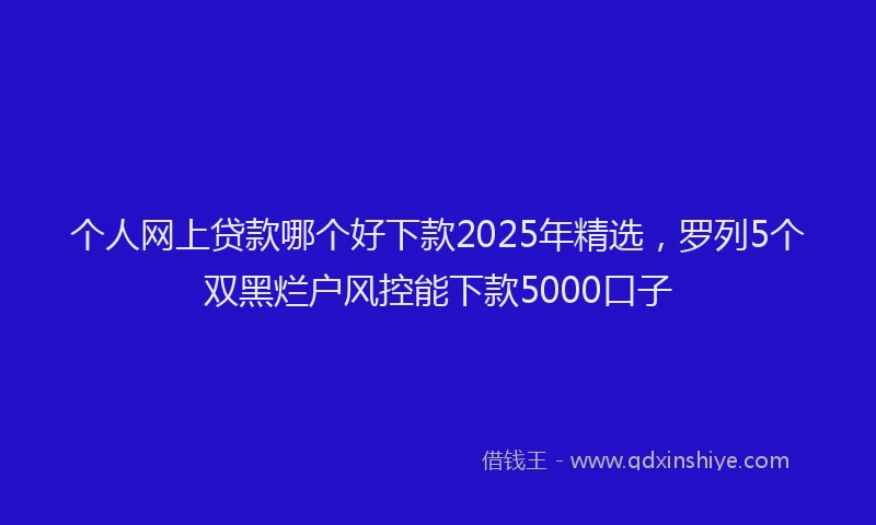 个人网上贷款哪个好下款2025年精选，罗列5个双黑烂户风控能下款5000口子