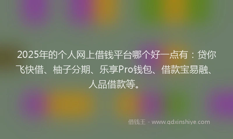 2025年的个人网上借钱平台哪个好一点有：贷你飞快借、柚子分期、乐享Pro钱包、借款宝易融、人品借款等。