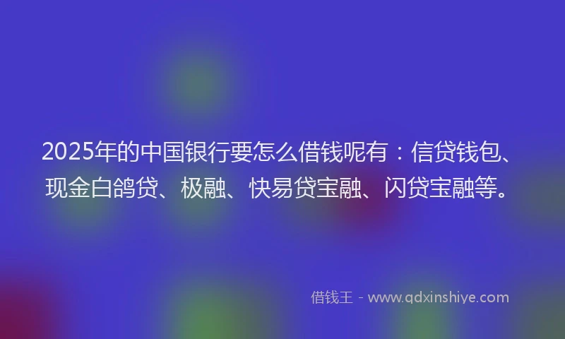 2025年的中国银行要怎么借钱呢有：信贷钱包、现金白鸽贷、极融、快易贷宝融、闪贷宝融等。
