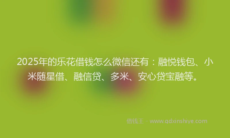 2025年的乐花借钱怎么微信还有：融悦钱包、小米随星借、融信贷、多米、安心贷宝融等。