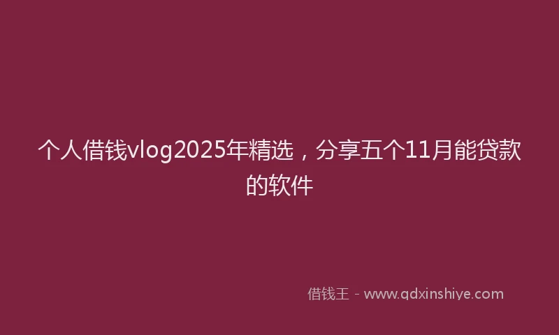 个人借钱vlog2025年精选，分享五个11月能贷款的软件