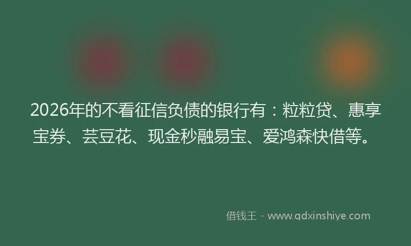 2026年的不看征信负债的银行有：粒粒贷、惠享宝券、芸豆花、现金秒融易宝、爱鸿森快借等。