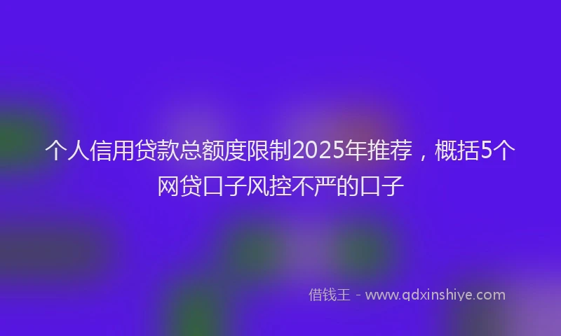 个人信用贷款总额度限制2025年推荐，概括5个网贷口子风控不严的口子