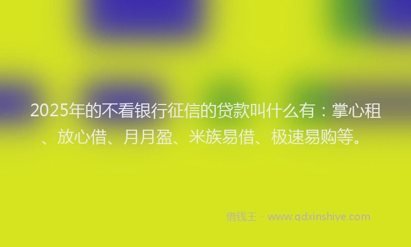 2025年的不看银行征信的贷款叫什么有：掌心租、放心借、月月盈、米族易借、极速易购等。