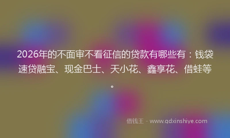 2026年的不面审不看征信的贷款有哪些有：钱袋速贷融宝、现金巴士、天小花、鑫享花、借蛙等。