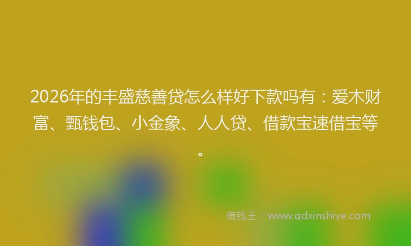 2026年的丰盛慈善贷怎么样好下款吗有：爱木财富、甄钱包、小金象、人人贷、借款宝速借宝等。