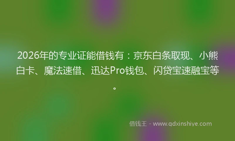 2026年的专业证能借钱有:京东白条取现、小熊白卡、魔法速借、迅达Pro钱包、闪贷宝速融宝等。