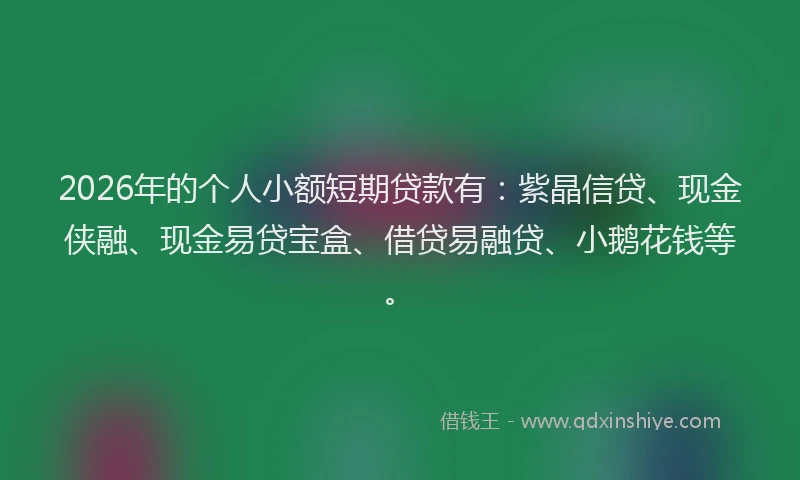 2026年的个人小额短期贷款有：紫晶信贷、现金侠融、现金易贷宝盒、借贷易融贷、小鹅花钱等。