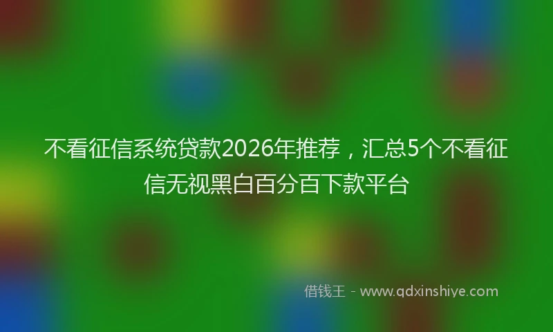 不看征信系统贷款2026年推荐，汇总5个不看征信无视黑白百分百下款平台