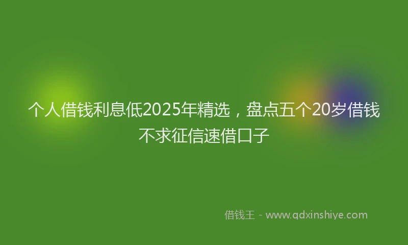 个人借钱利息低2025年精选，盘点五个20岁借钱不求征信速借口子