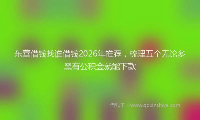 东营借钱找谁借钱2026年推荐，梳理五个无论多黑有公积金就能下款