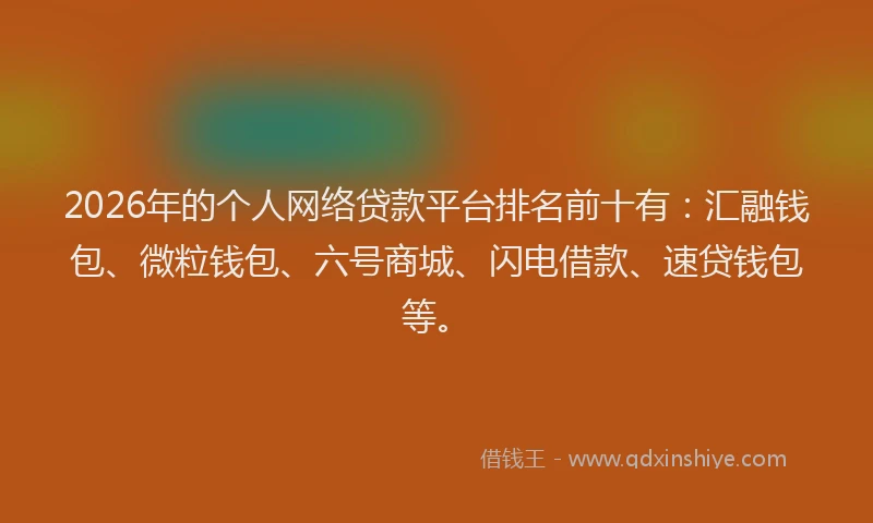 2026年的个人网络贷款平台排名前十有：汇融钱包、微粒钱包、六号商城、闪电借款、速贷钱包等。