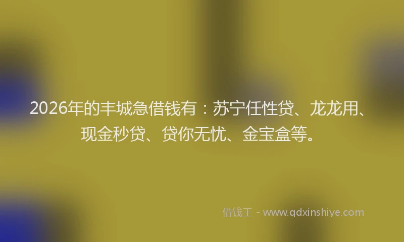 2026年的丰城急借钱有:苏宁任性贷、龙龙用、现金秒贷、贷你无忧、金宝盒等。