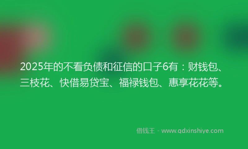 2025年的不看负债和征信的口子6有：财钱包、三枝花、快借易贷宝、福禄钱包、惠享花花等。