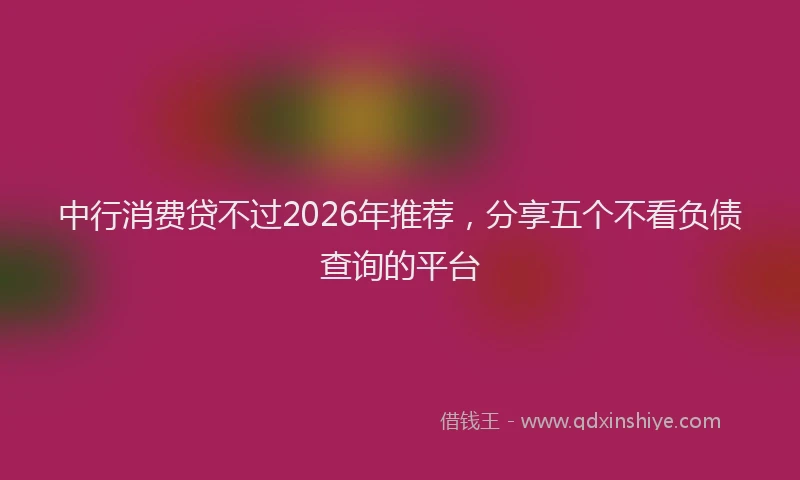 中行消费贷不过2026年推荐，分享五个不看负债查询的平台