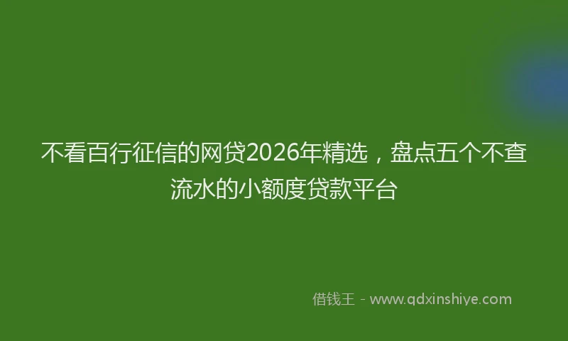 不看百行征信的网贷2026年精选，盘点五个不查流水的小额度贷款平台