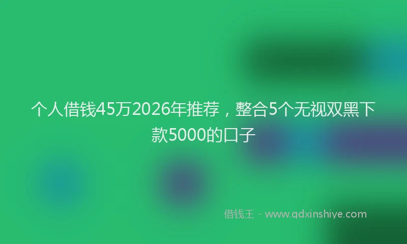 个人借钱45万2026年推荐，整合5个无视双黑下款5000的口子