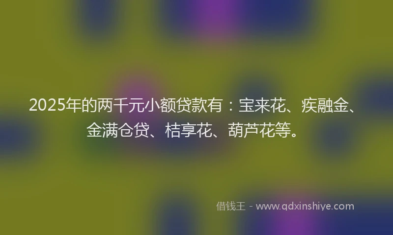2025年的两千元小额贷款有：宝来花、疾融金、金满仓贷、桔享花、葫芦花等。
