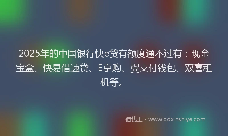 2025年的中国银行快e贷有额度通不过有：现金宝盒、快易借速贷、E享购、翼支付钱包、双喜租机等。