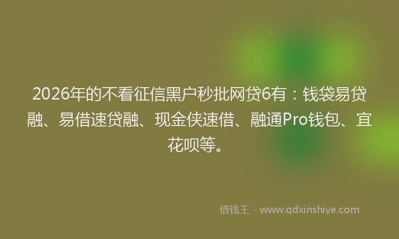 2026年的不看征信黑户秒批网贷6有:钱袋易贷融、易借速贷融、现金侠速借、融通Pro钱包、宜花呗等。