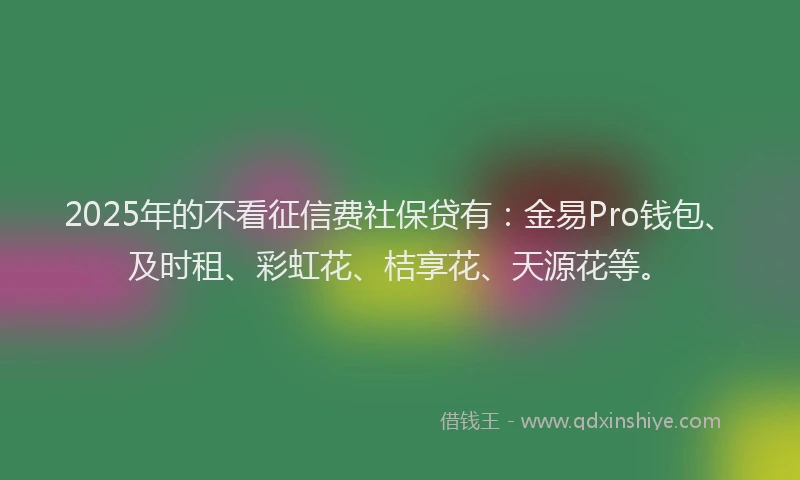 2025年的不看征信费社保贷有：金易Pro钱包、及时租、彩虹花、桔享花、天源花等。