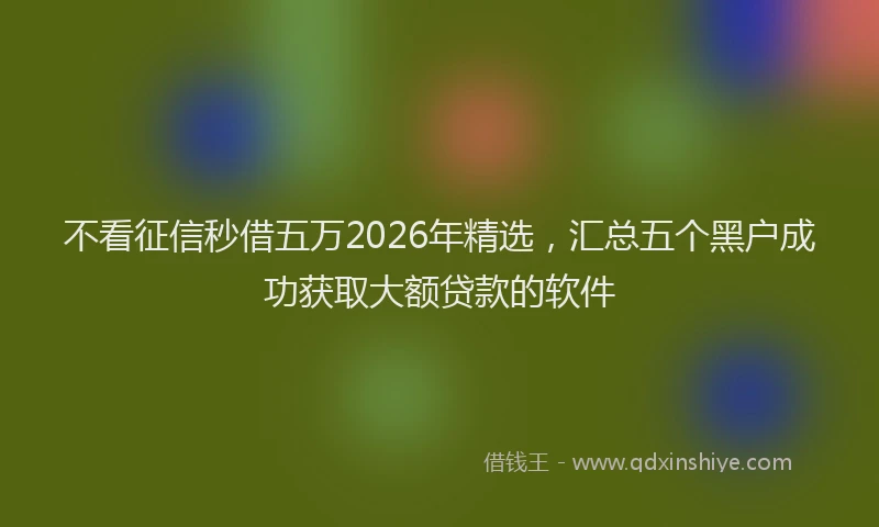 不看征信秒借五万2026年精选，汇总五个黑户成功获取大额贷款的软件