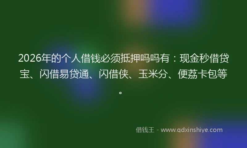 2026年的个人借钱必须抵押吗吗有：现金秒借贷宝、闪借易贷通、闪借侠、玉米分、便荔卡包等。