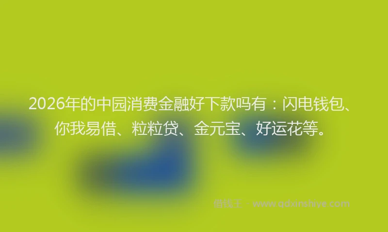 2026年的中园消费金融好下款吗有：闪电钱包、你我易借、粒粒贷、金元宝、好运花等。
