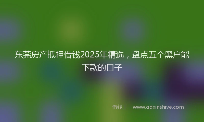东莞房产抵押借钱2025年精选，盘点五个黑户能下款的口子
