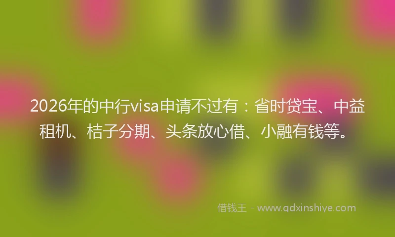 2026年的中行visa申请不过有：省时贷宝、中益租机、桔子分期、头条放心借、小融有钱等。