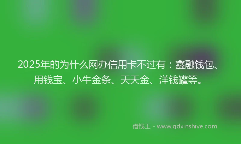 2025年的为什么网办信用卡不过有：鑫融钱包、用钱宝、小牛金条、天天金、洋钱罐等。