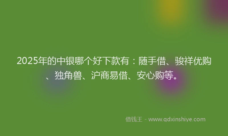 2025年的中银哪个好下款有：随手借、骏祥优购、独角兽、沪商易借、安心购等。