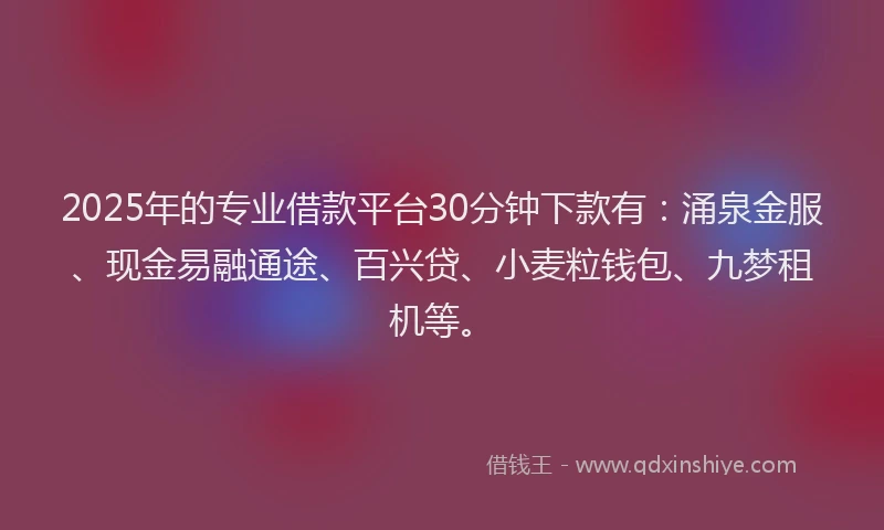 2025年的专业借款平台30分钟下款有：涌泉金服、现金易融通途、百兴贷、小麦粒钱包、九梦租机等。