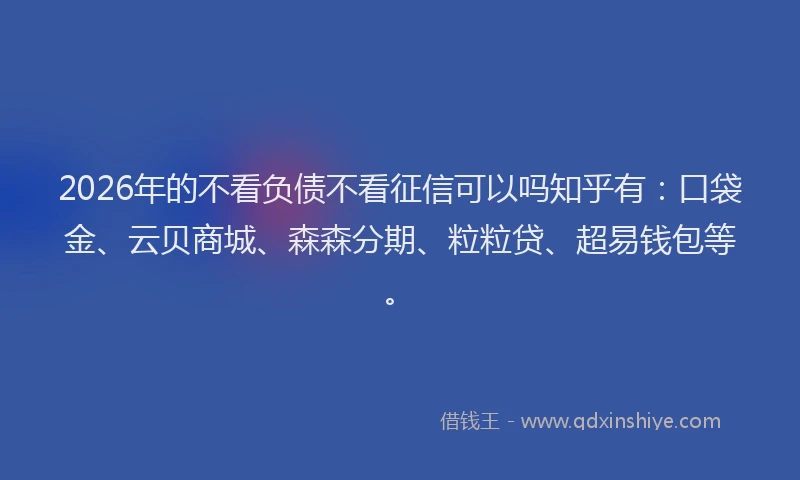 2026年的不看负债不看征信可以吗知乎有:口袋金、云贝商城、森森分期、粒粒贷、超易钱包等。