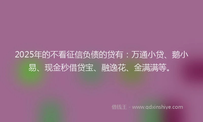 2025年的不看征信负债的贷有：万通小贷、鹅小易、现金秒借贷宝、融逸花、金满满等。