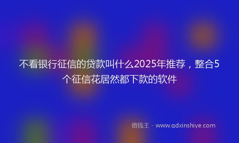 不看银行征信的贷款叫什么2025年推荐，整合5个征信花居然都下款的软件