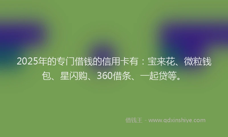2025年的专门借钱的信用卡有:宝来花、微粒钱包、星闪购、360借条、一起贷等。