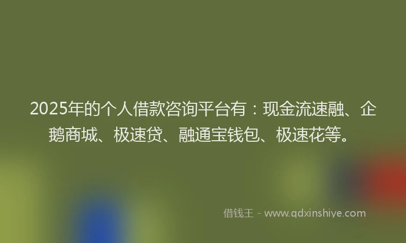 2025年的个人借款咨询平台有：现金流速融、企鹅商城、极速贷、融通宝钱包、极速花等。