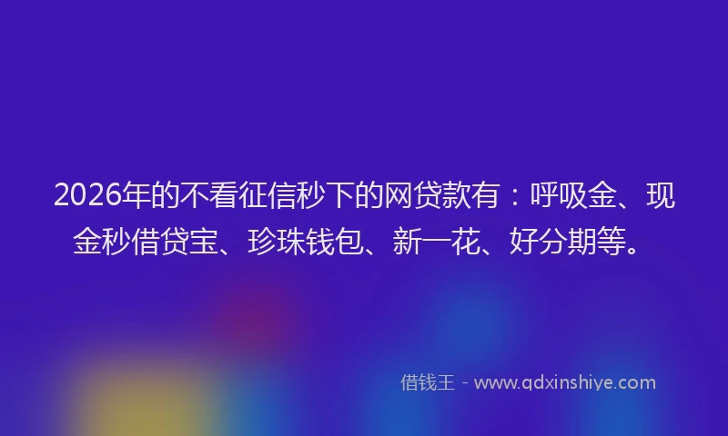 2026年的不看征信秒下的网贷款有：呼吸金、现金秒借贷宝、珍珠钱包、新一花、好分期等。
