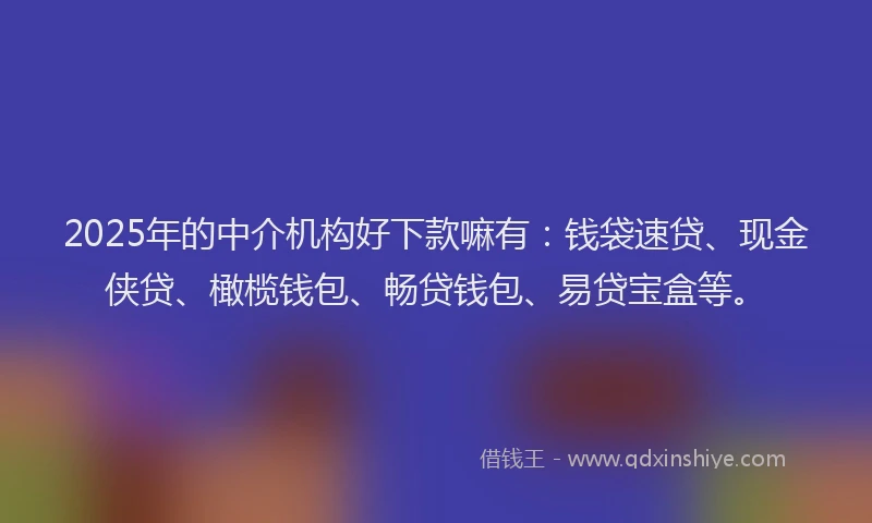 2025年的中介机构好下款嘛有：钱袋速贷、现金侠贷、橄榄钱包、畅贷钱包、易贷宝盒等。