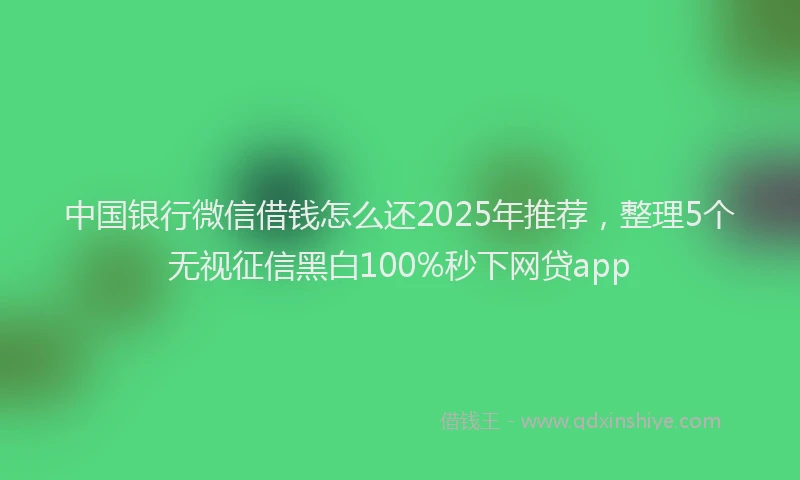 中国银行微信借钱怎么还2025年推荐，整理5个无视征信黑白100%秒下网贷app