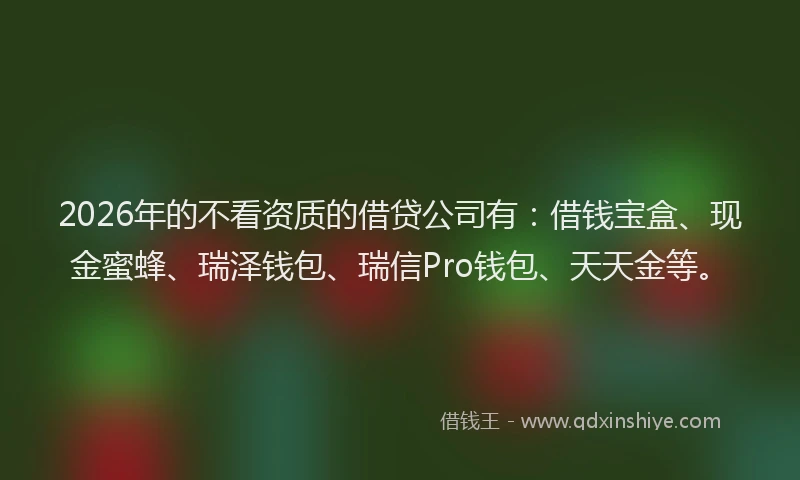 2026年的不看资质的借贷公司有：借钱宝盒、现金蜜蜂、瑞泽钱包、瑞信Pro钱包、天天金等。