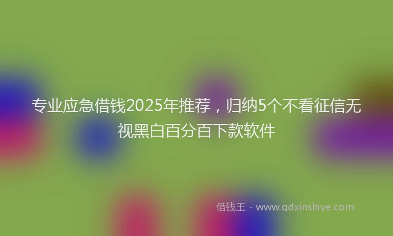 专业应急借钱2025年推荐,归纳5个不看征信无视黑白百分百下款软件