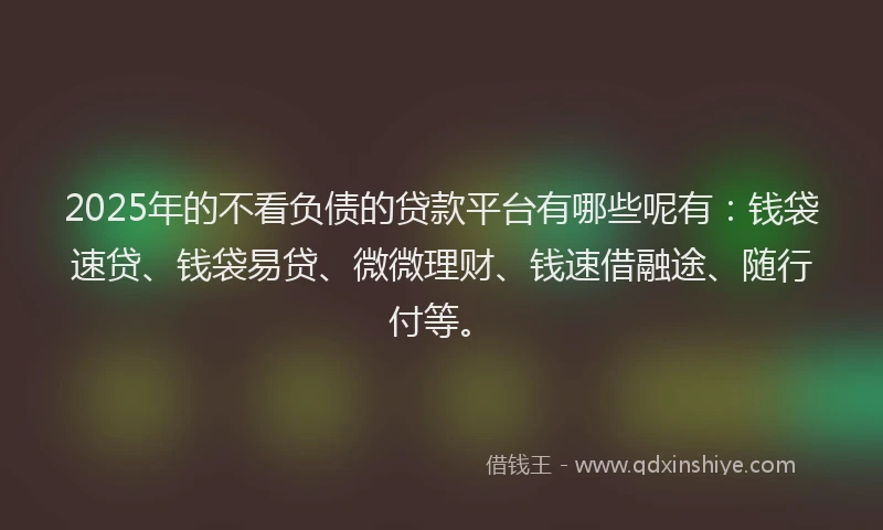 2025年的不看负债的贷款平台有哪些呢有：钱袋速贷、钱袋易贷、微微理财、钱速借融途、随行付等。