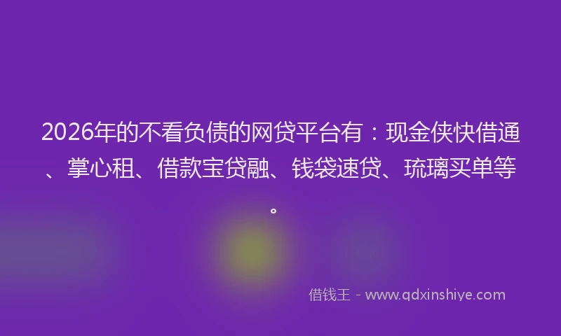 2026年的不看负债的网贷平台有：现金侠快借通、掌心租、借款宝贷融、钱袋速贷、琉璃买单等。