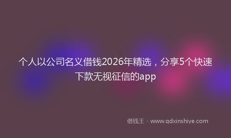 个人以公司名义借钱2026年精选，分享5个快速下款无视征信的app