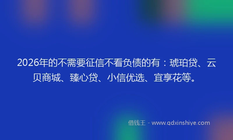 2026年的不需要征信不看负债的有:琥珀贷、云贝商城、臻心贷、小信优选、宜享花等。