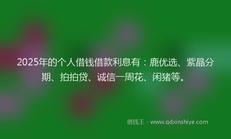 2025年的个人借钱借款利息有：鹿优选、紫晶分期、拍拍贷、诚信一周花、闲猪等。