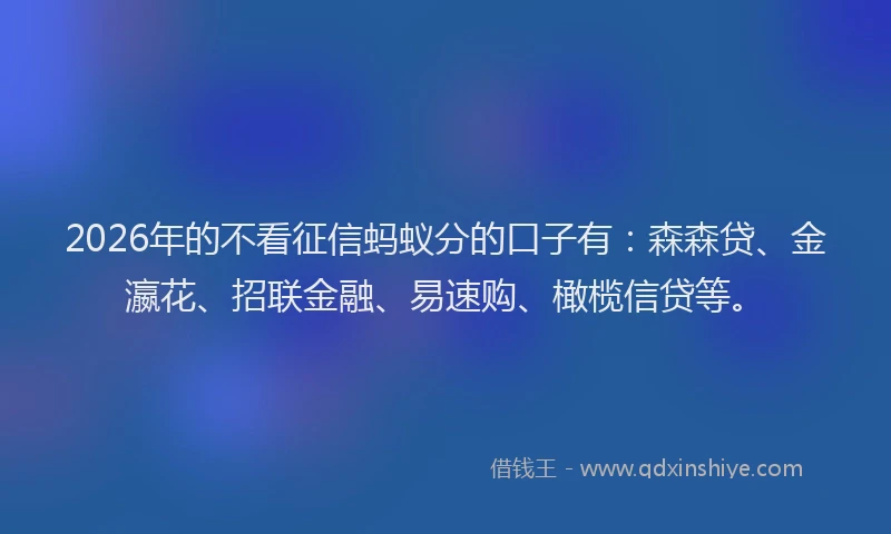 2026年的不看征信蚂蚁分的口子有：森森贷、金瀛花、招联金融、易速购、橄榄信贷等。